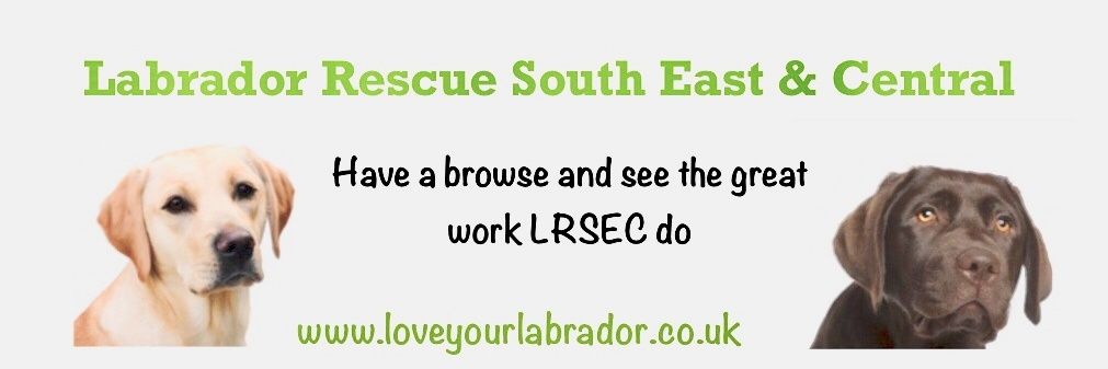 Labrador Rescue SE&C banner