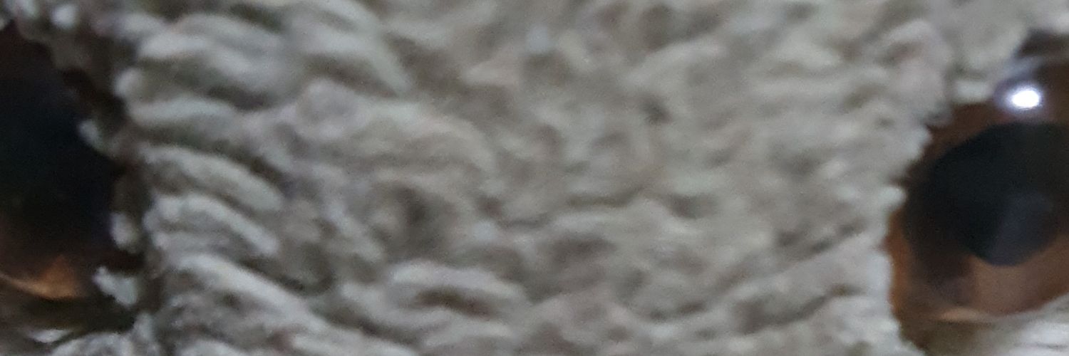 andarvarth's profile banner image