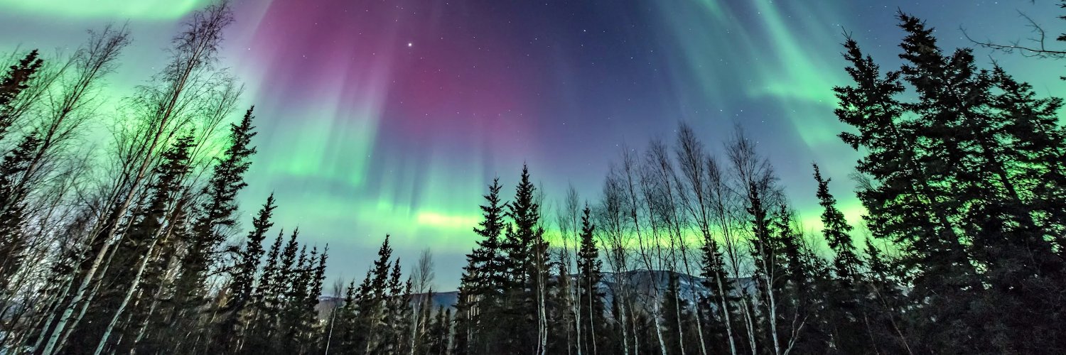 TheProblematicVeteran banner