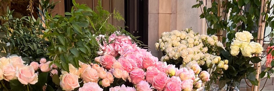 🌙 banner