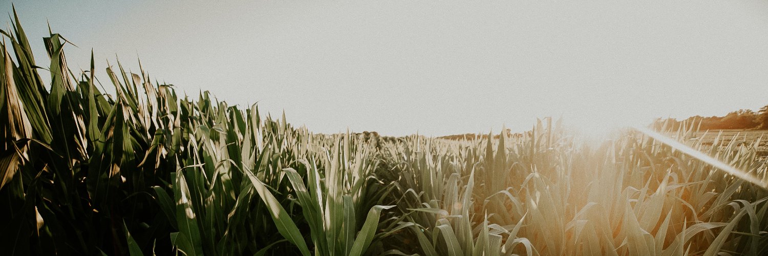 Phospholutions banner