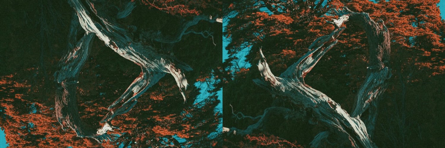 martincasse's profile banner image