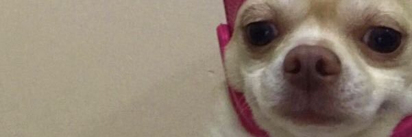 tinetinn's profile banner image