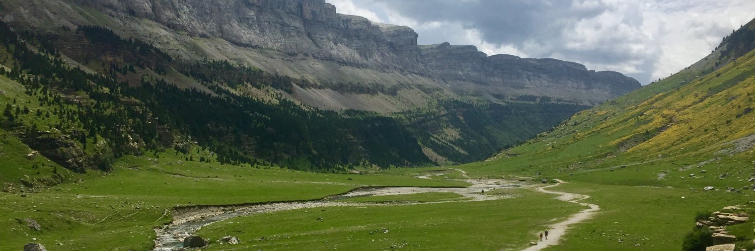 Roee Margalit banner