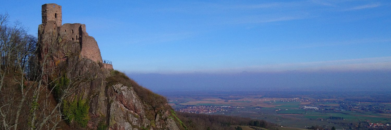 Monteil Guy 🎹🐢🧹 banner