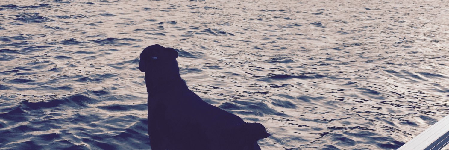 TessTimes's profile banner image