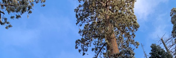 abishn12 Profile Banner