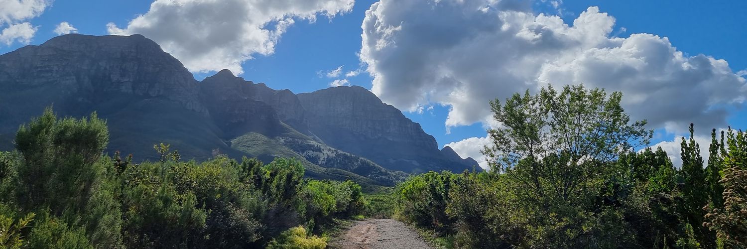 Yolanda Walsh banner