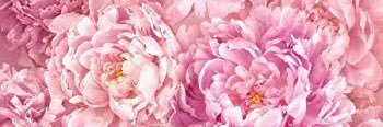 tulipe_no's profile banner image