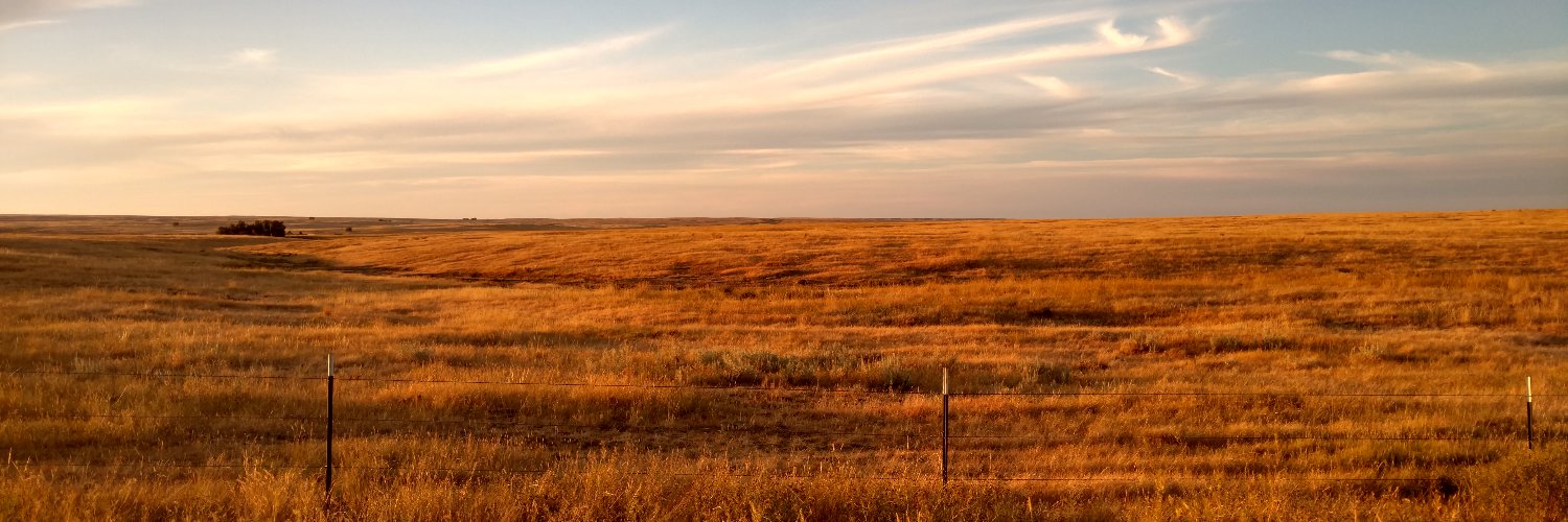 Dawud Ibn Shabun Al-Gurji banner