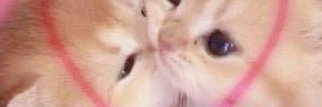 _JimPossible's profile banner image