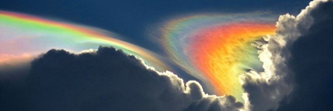 Bohemian Cloud's banner
