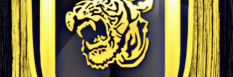 V96U5n's profile banner image