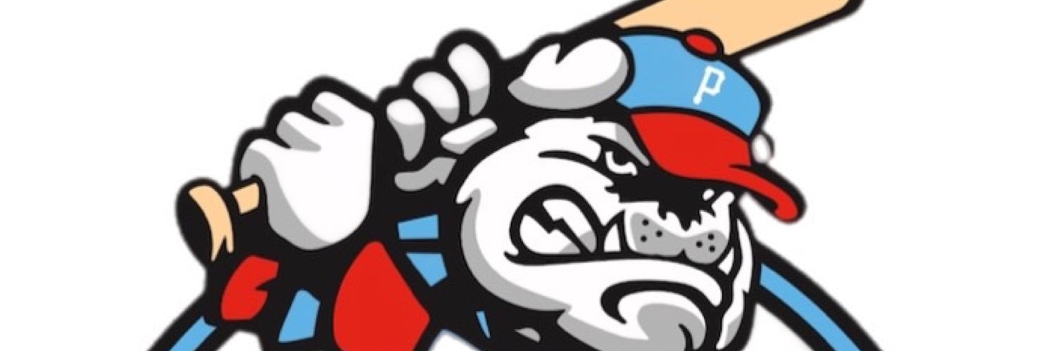 Paynes Baseball Club banner