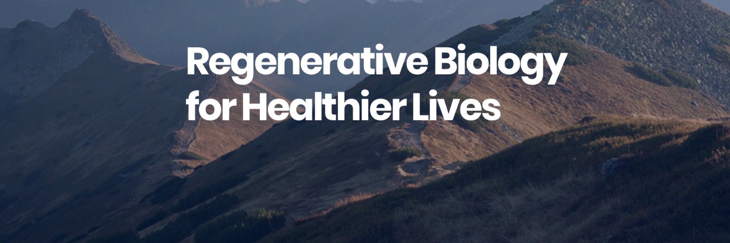 BioRestorative Therapies, Inc. banner