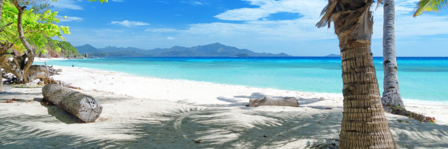 Kim Julia Kyle banner