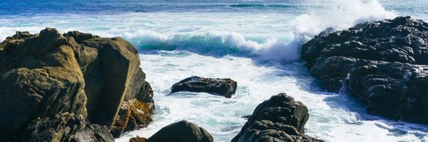 danro Profile Banner