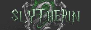 ZDizz banner