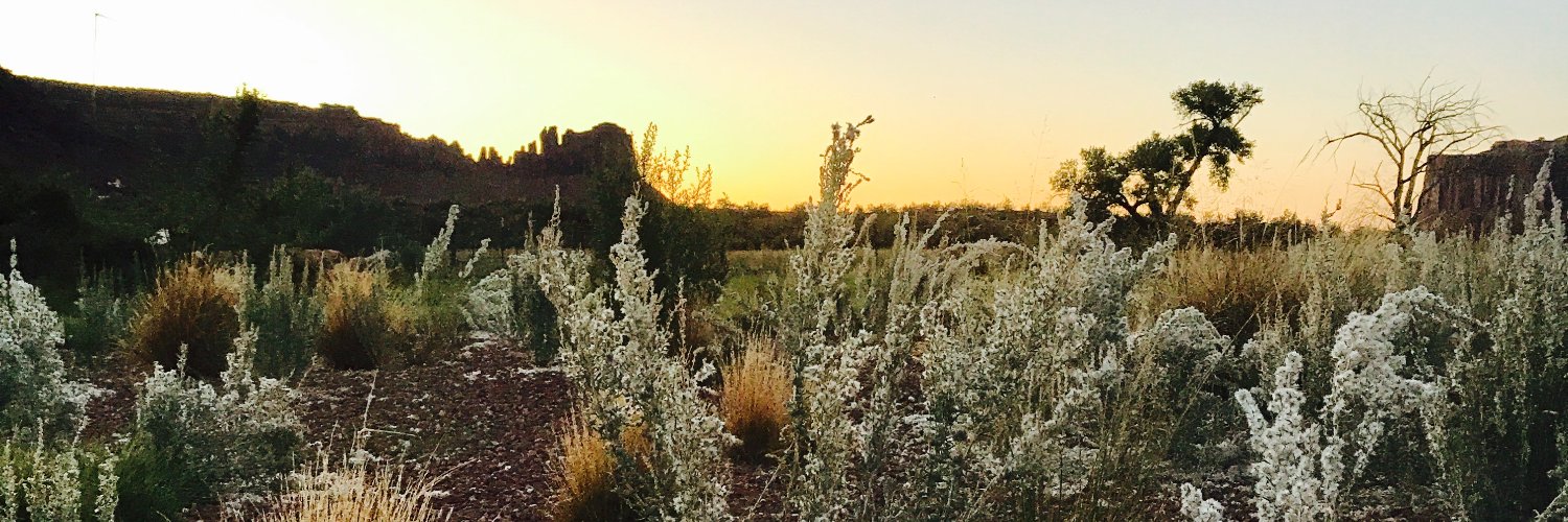 Dryland Ecology and Management Lab banner