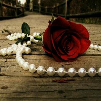 Fofo13900361's profile banner image