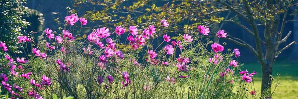 JulietSargeant Profile Banner