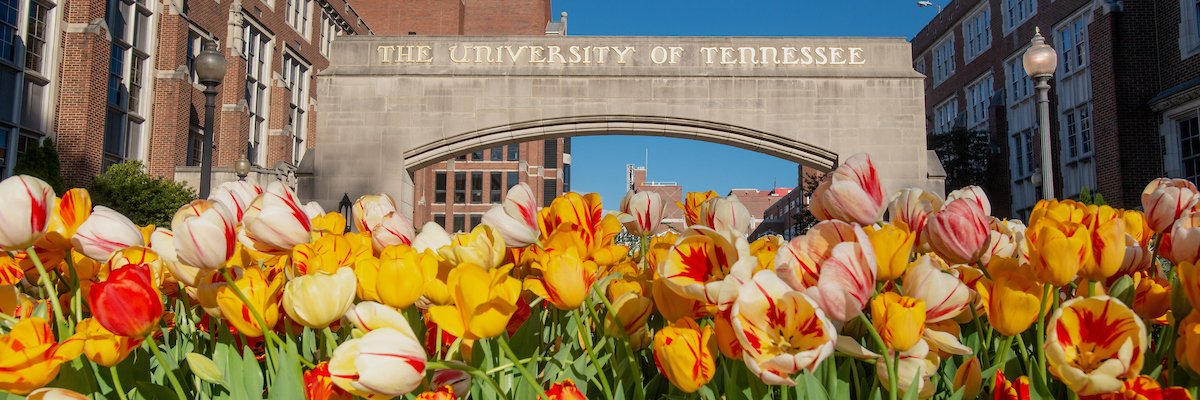 The University of Tennessee Health Science Center banner