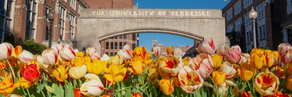 uthsc Profile Banner
