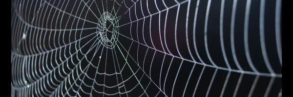 GildedY's profile banner image