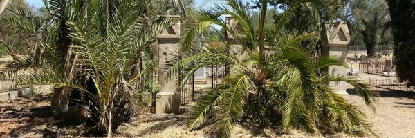 CillSarain Profile Banner