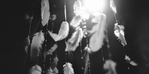 viktoriamolina's profile banner image