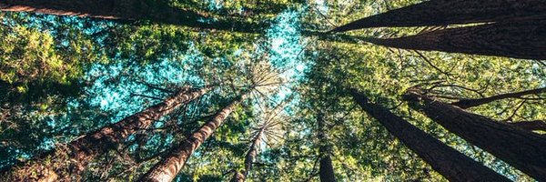 JonathanMaheng2 Profile Banner