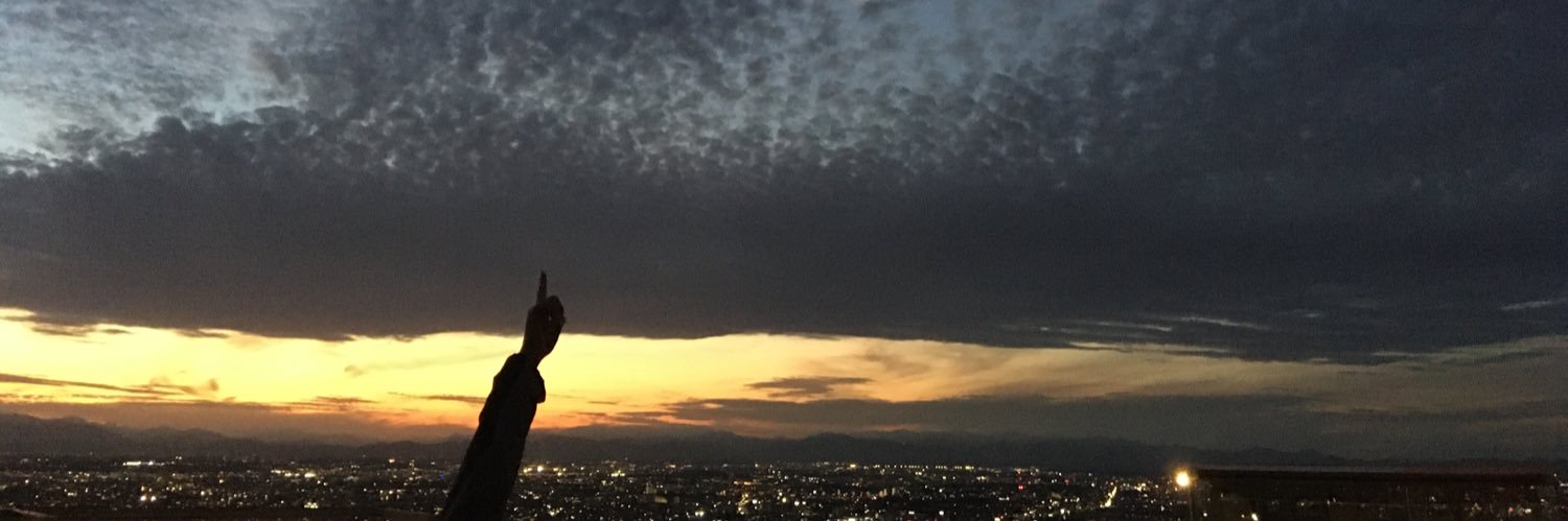 椹木 野衣　Noi Sawaragi banner