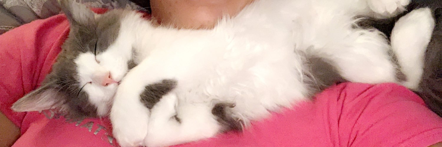 Paigee_asf's profile banner image
