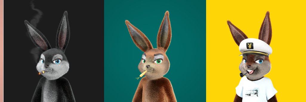 Rabbit_calllll's profile banner image