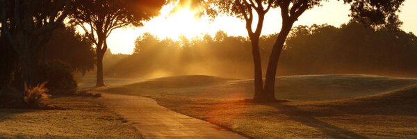 greenetvert Profile Banner