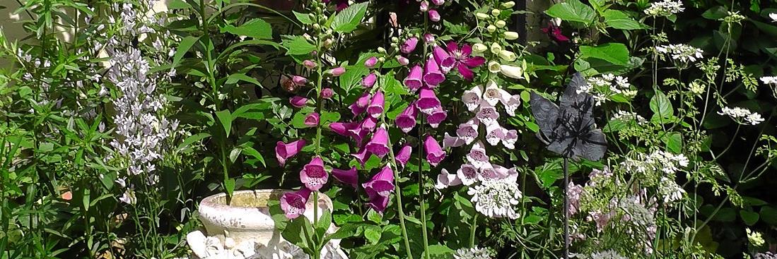 NaturalGarden紀行🌿 banner