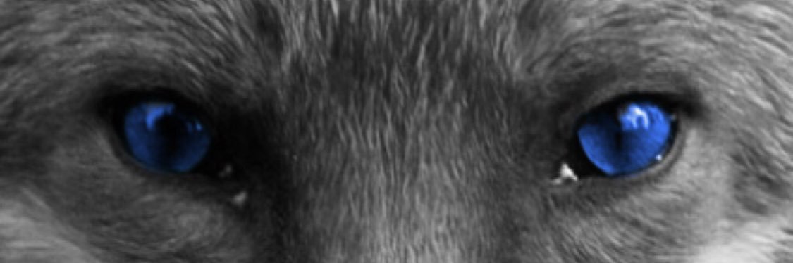 JakeyLC's profile banner image