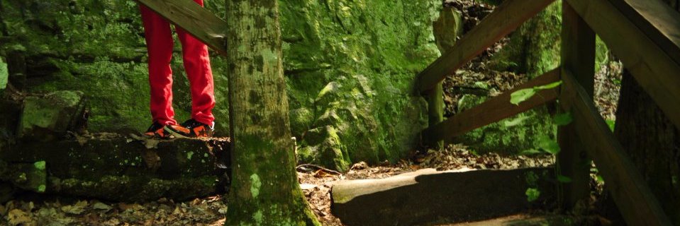 vidalbalkaran's profile banner image