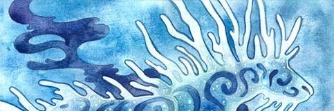 JuliaKimmi's profile banner image