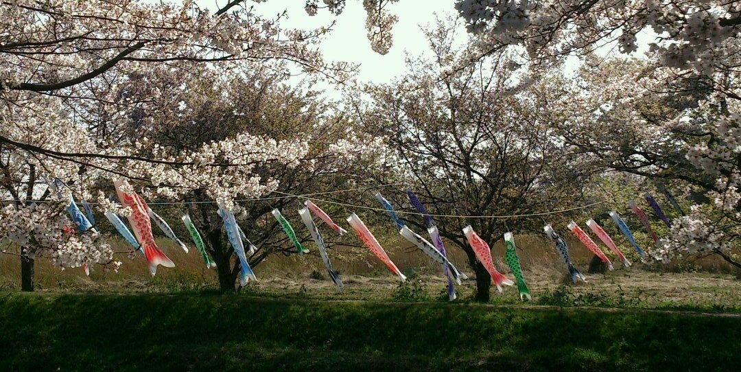 ゆうすけ banner