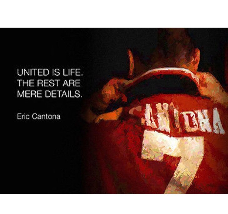 Dave Wilkinson banner