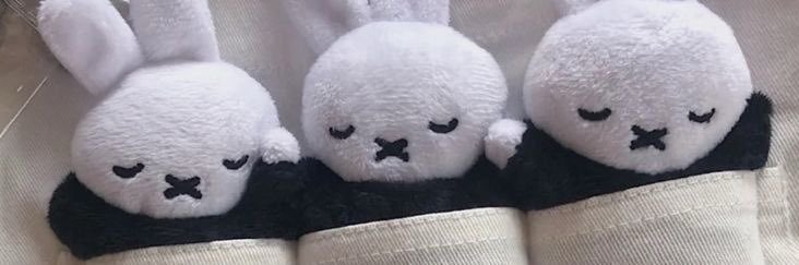 🐰 banner