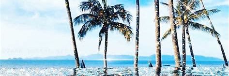 8py08xx's profile banner image