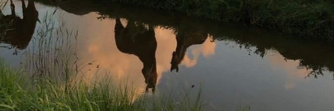 AleeRF1's profile banner image