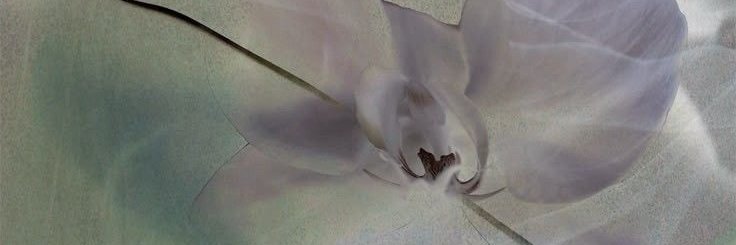 Kyo. banner