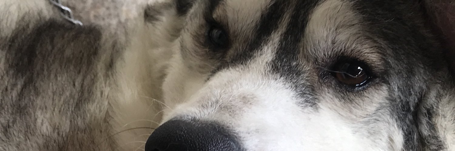 bernettecuevas's profile banner image