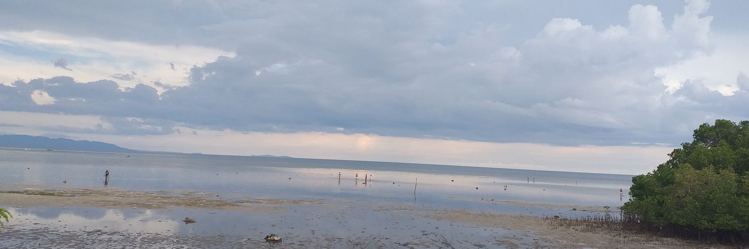Shiela banner