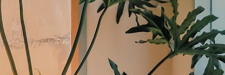 IvnPermad's profile banner image