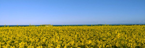 therealcbuglass Profile Banner