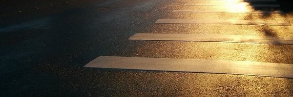 xdrudis Profile Banner